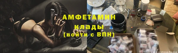 крисы Абаза