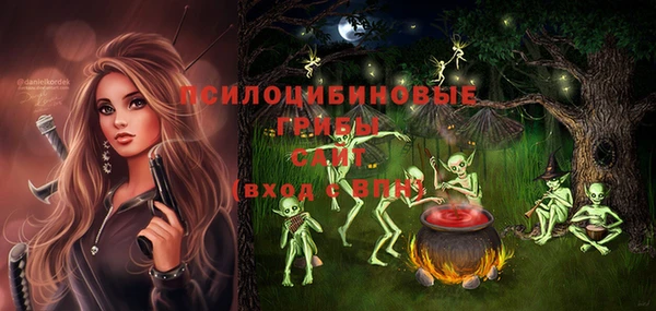 PSILOCYBIN Арсеньев