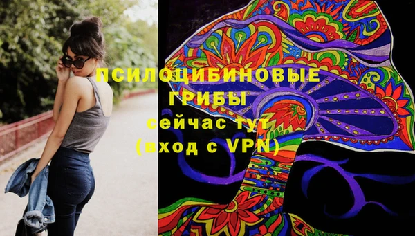 PSILOCYBIN Арсеньев